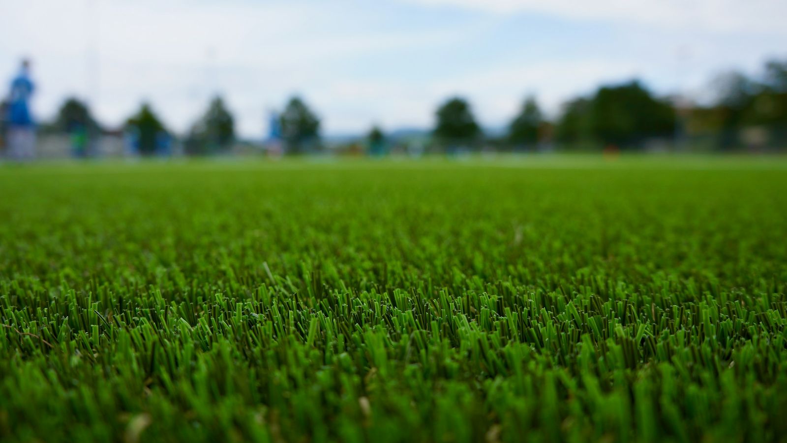 A field of artificial turf.