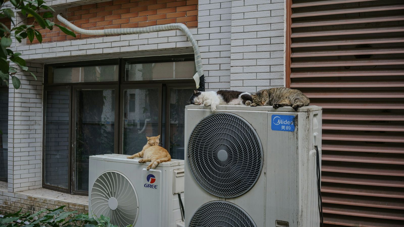 Heat pumps with cats lying on top.