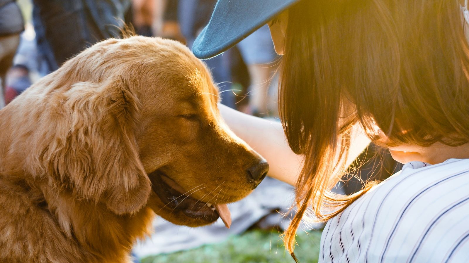 A dog being petted by a woman.