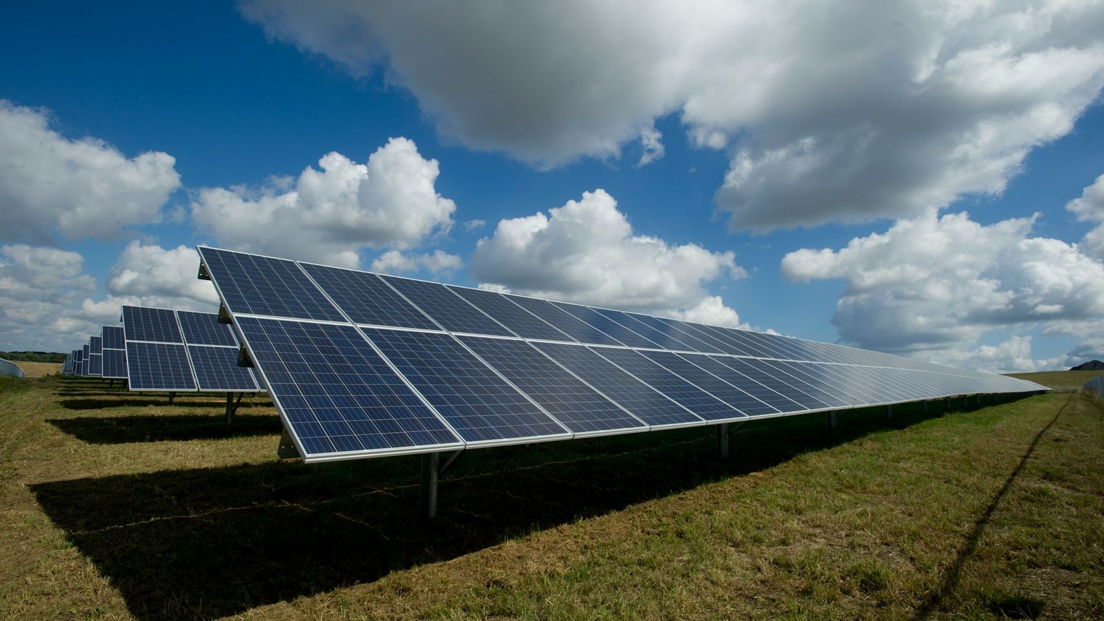 An array of solar panels on a farm.